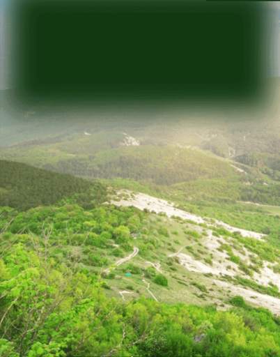 Nature Photo Frames HD screenshot 8