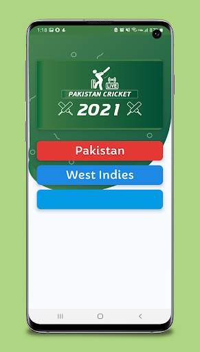 Pakistan Cricket Mania screenshot 3