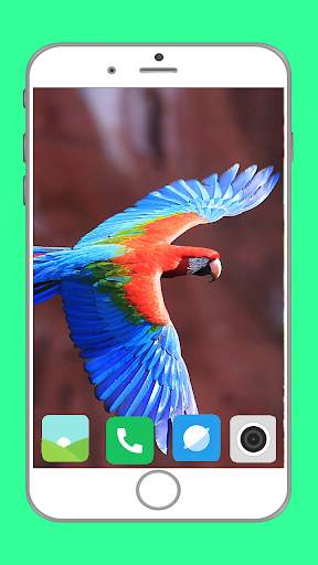 Birds Full HD Wallpaper स्क्रीनशॉट 4