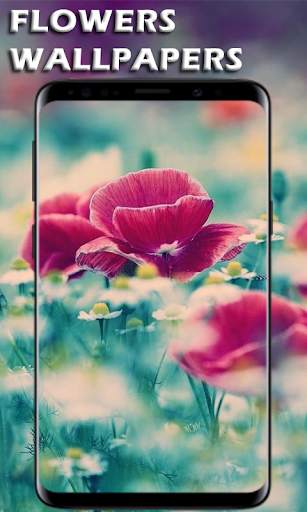 Flowers Wallpapers Ultra HD - Flowers 4K Wallpaper screenshot 5