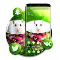 Mouse Cup Theme Launcher