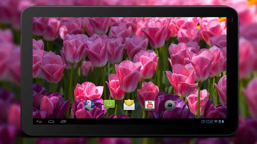 4K Flower Glade Video Live Wallpapers screenshot 5