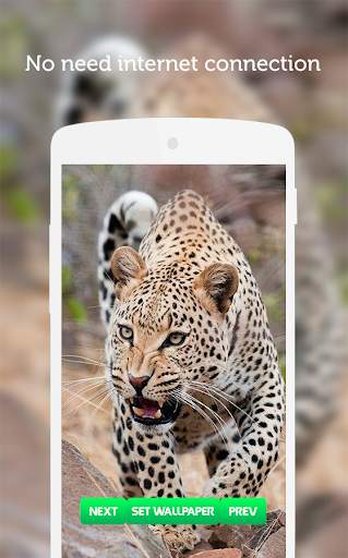 Leopard Wallpaper screenshot 8