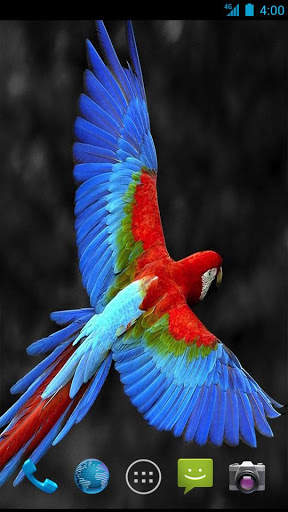 Parrot Wallpapers screenshot 3