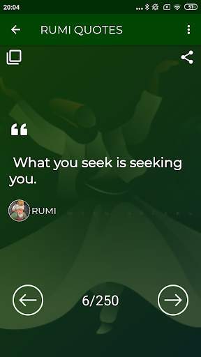 Rumi Quotes Offline screenshot 5