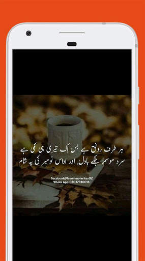 Offline Urdu Poetry 2020 screenshot 3