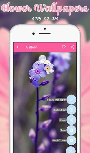 Flower Wallpapers and Backgrounds screenshot 5