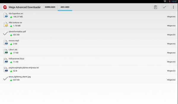 Advanced Downloader for Mega screenshot 6