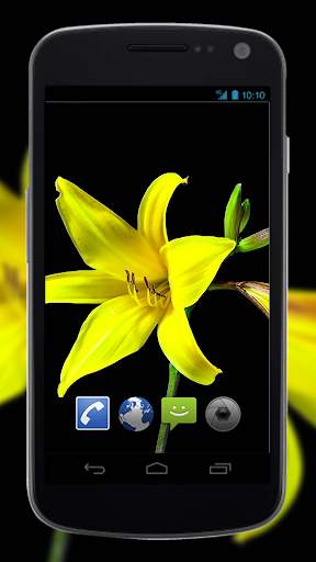 4K Flowers Video Live Wallpapers screenshot 4