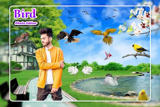 Bird Photo Editor screenshot 4