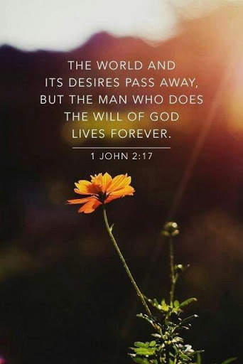 Inspirational Bible Verses screenshot 2