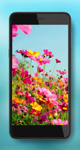 Summer Time Live Wallpaper screenshot 1