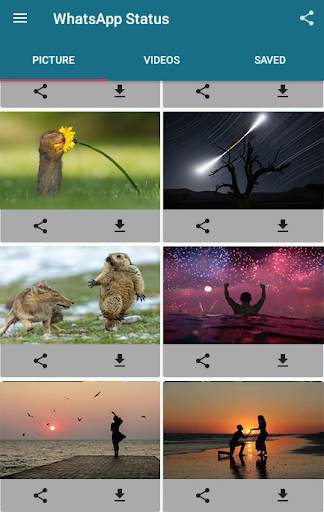 Status Saver for Whatsapp - Save Images and Videos screenshot 1