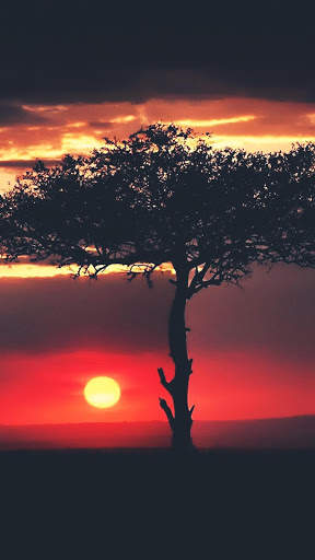 Nature Wallpaper HD screenshot 6