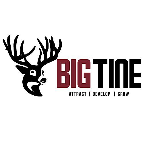 Big Tine иконка