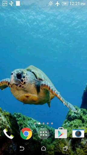 Turtle 3D Live Wallpaper screenshot 5