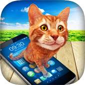 Cat in Phone Prank 1.2