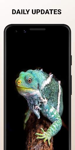 Free wallpapers screenshot 6
