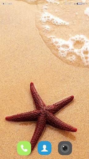 Starfish Wallpaper 4K screenshot 2