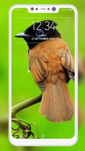 Bird Wallpaper 9 تصوير الشاشة