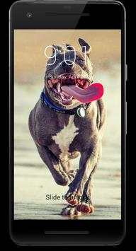 Pitbull Dog HD Lock Screen screenshot 4
