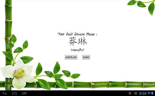 My Real Chinese Name screenshot 4