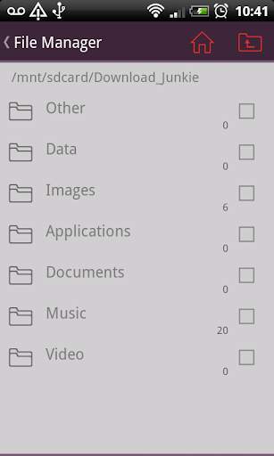Download Manager screenshot 4