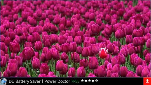 Free Flowers Wallpapers screenshot 2