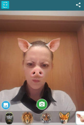 Funny Face Filters (3F) screenshot 4