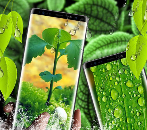 Leaf Live Wallpaper screenshot 4