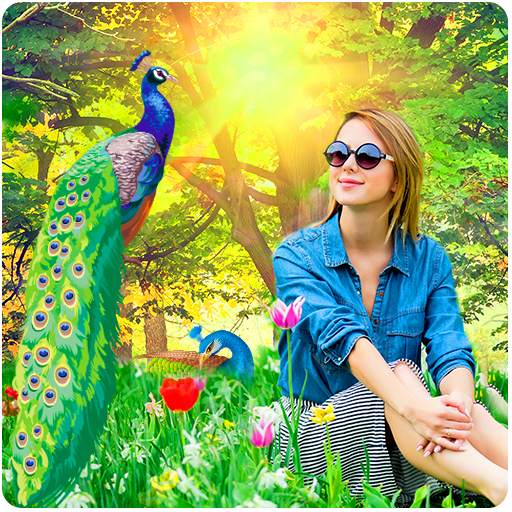Peacock Photo Frames 1.0.8