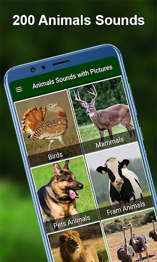 170 Animal Sounds 1 تصوير الشاشة