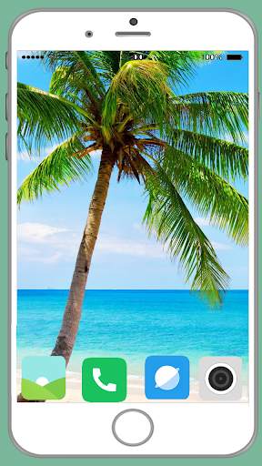 Palm Tree Full HD Wallpaper screenshot 10