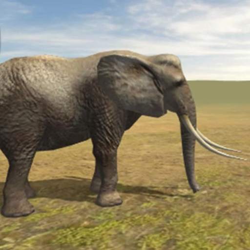 Angry Elephant 1.1
