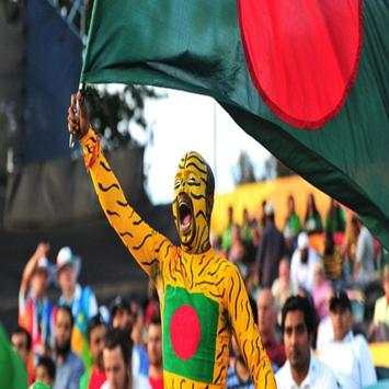 BCB Tiger Cricket screenshot 27