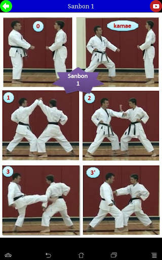 Karate in brief screenshot 22