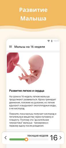 Календарь беременности скриншот 2