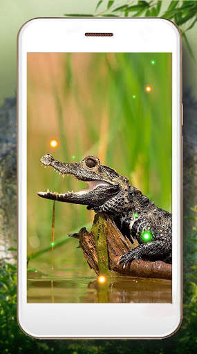 Crocodiles Tropical screenshot 5
