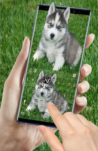 Siberian Husky Puppies Keyboard स्क्रीनशॉट 1