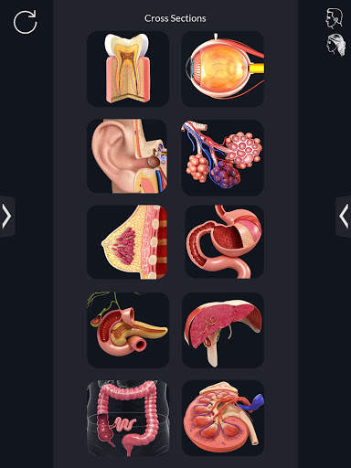 Organs Anatomy Pro. screenshot 9
