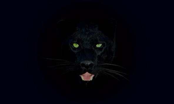 Panther wallpapers screenshot 1