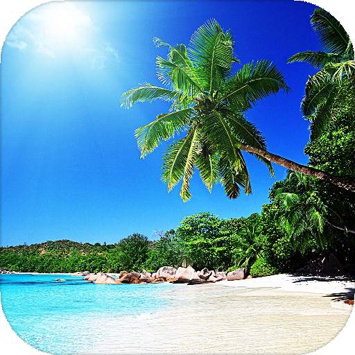 Beach Live Wallpaper (Wallpapers & Backgrounds) 16.0