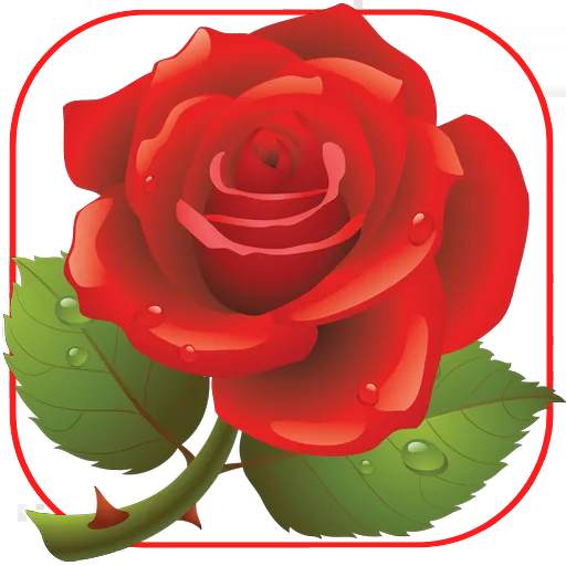 Flowers And Roses Animated Images Gif 4k screenshot 7