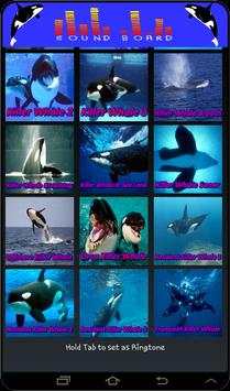 Whale Orca Soundboard screenshot 1
