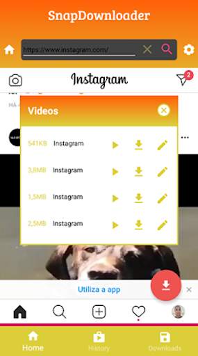 Snap Downloader screenshot 4