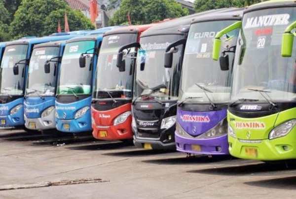 Limited Patas Bus screenshot 2