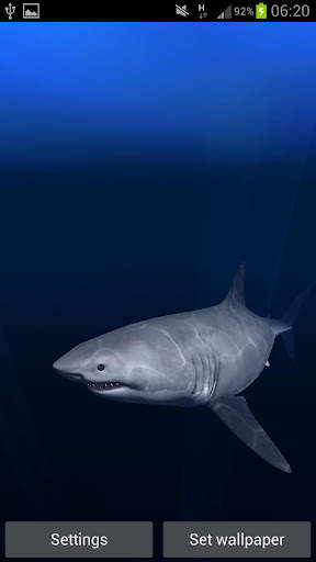 Great White Shark Real 3D screenshot 2