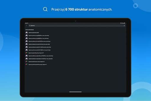 e-Anatomy screenshot 11