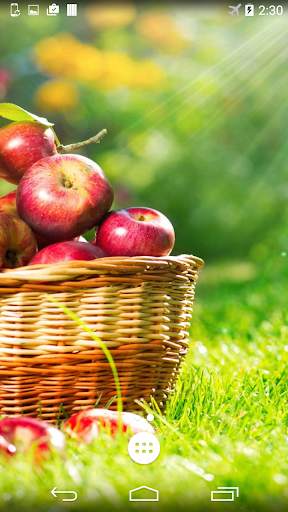 Fruits 4K Live Wallpaper screenshot 3