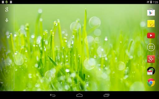Grass Live Wallpaper screenshot 4